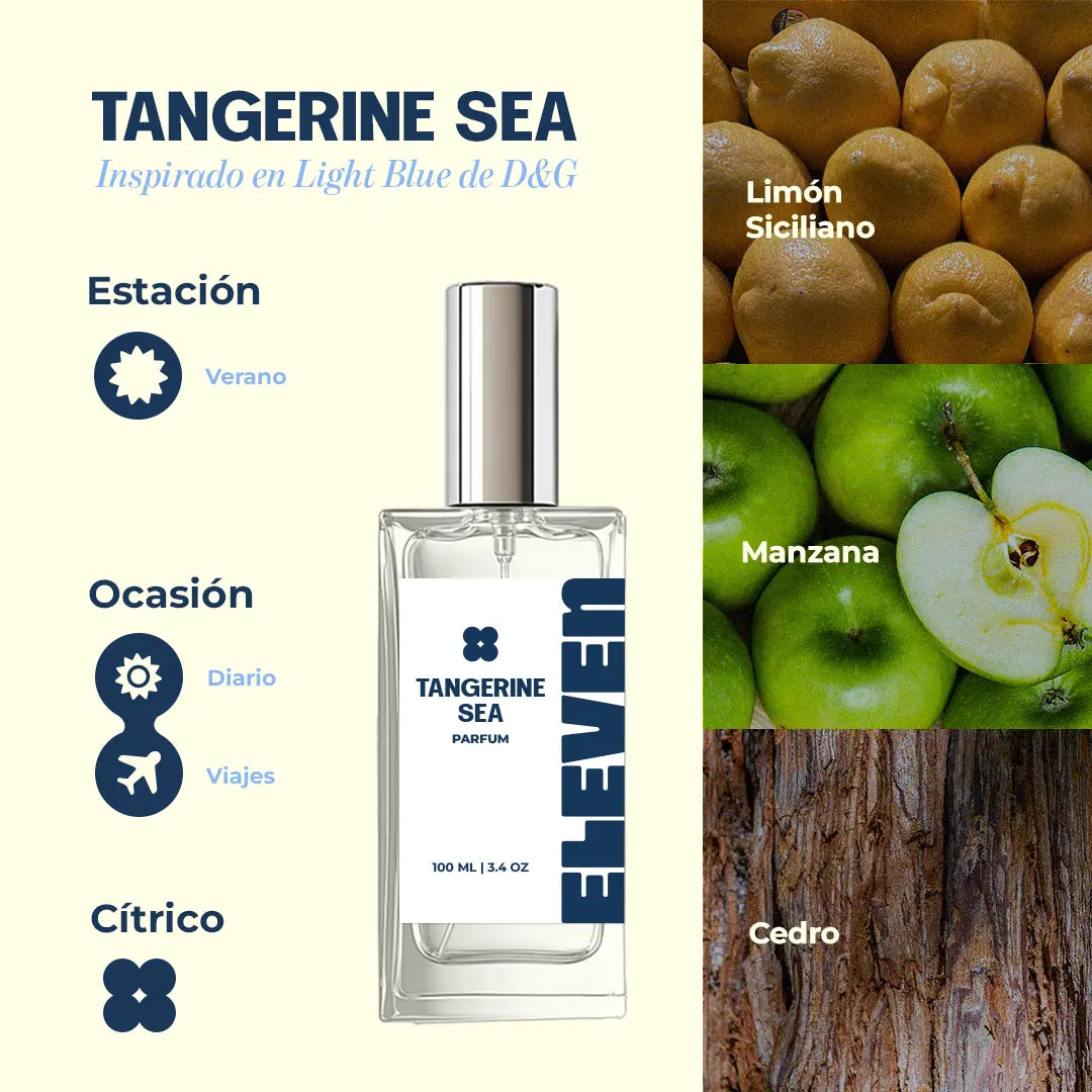 Tangerine Sea • Inspirado en Light Blue de D&G ELEVEN